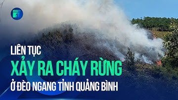 Liên tục xảy ra cháy rừng ở Đèo Ngang tỉnh Quảng Bình | VTC1