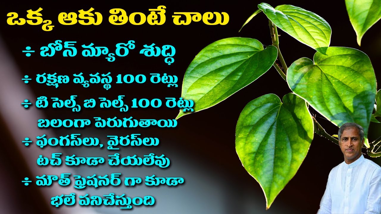Strong Immunity Booster Leaf For You | Betel Leaf Benefits | Dr Manthena Satyanarayana Raju Videos