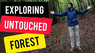 Exploring Buchenwald Grumsin - The Untouched Forest in Brandenburg, Just Outside of Berlin