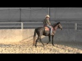 Teaching a horse to steer part 1