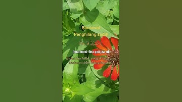 Sholawat penyejuk hati penghilang sedih #sholawat #yasayyidiyarasulallah #zikir