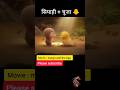 सियाही और चूहे की दोस्ती#ytshorts#viral #trending #like #youtubeshorts #subscribe #shorts