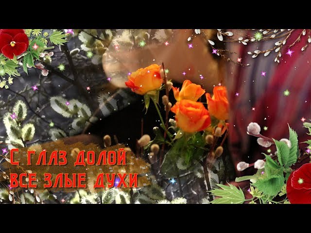 ПОЗДРАВЛЕНИЕ С ВЕРБНЫМ ВОСКРЕСЕНЬЕМ Смотреть видео ПОЗДРАВЛЕНИЕ С ВЕРБНЫМ ВОСКРЕСЕНЬЕМ