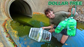 Building Fish Trap from DOLLAR TREE Challenge!