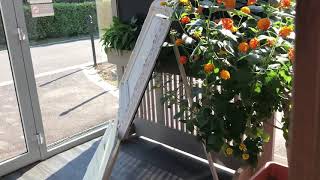 IMG 3653