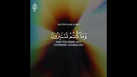 سورة فصلت اسلام صبحي