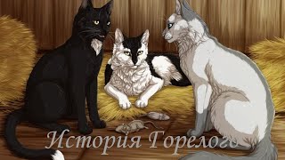 История Горелого/Коты-воители
