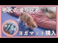 【老犬の滑り止め対策】1枚650円のヨガマットを敷き詰めてみた