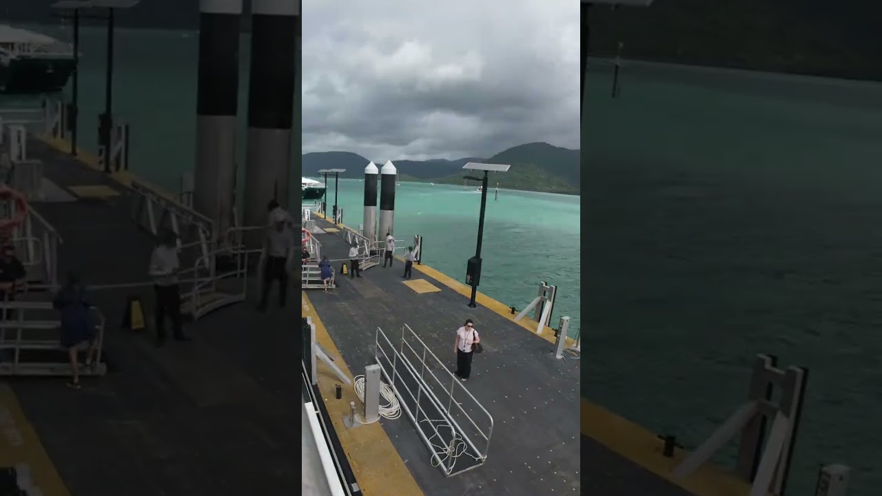Two Ferries. One Berth. Perfect Timing… 🚢