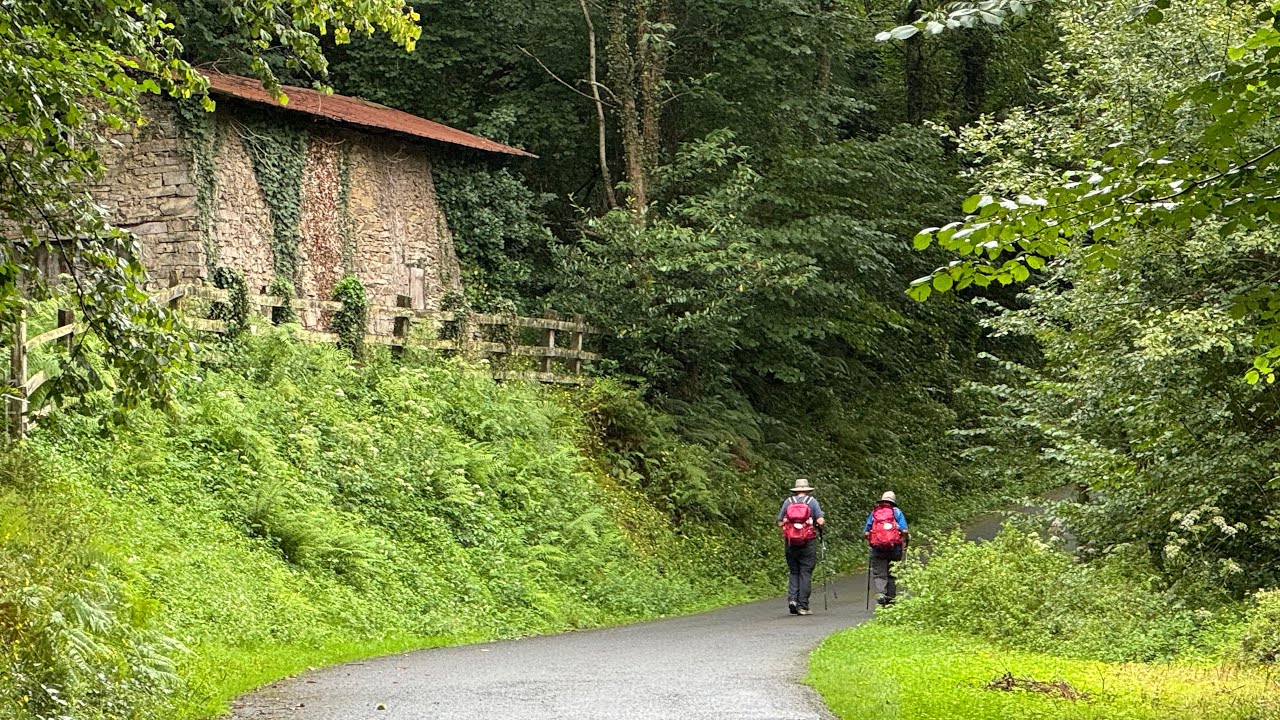 Day 1 - Camino Frances - St Jean Pied de Port to Valcarlos