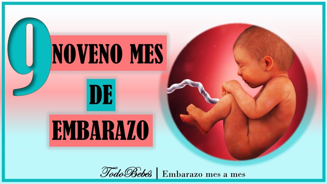 ️ NOVENO MES DE EMBARAZO🤰 ⏩ SEMANA 36 a 40 ⏩ TERCER TRIMESTRE ⏩