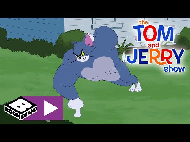The Tom and Jerry Show | Tom The Gym Cat | Boomerang UK 🇬🇧 class=