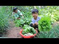 Sreypov Life Show: Mommy and son harvest vegetable for cooking / Family food cooking