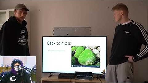 I NEVER KNEW I NEEDED A MOSS PRESENTATION!!! - Reacting to FairBairn Films