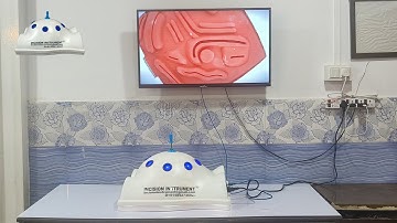 LAPAROSCOPIC ENDOTRAINER Laparoscopic Body / Pelvic Shape Virtual Endo Trainer TV Screen Connection