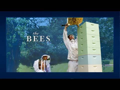 Inside The White House - Bees!