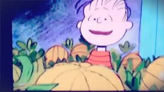 Whats The Funniest Cartoon Character Of Peanuts Gang? Cre