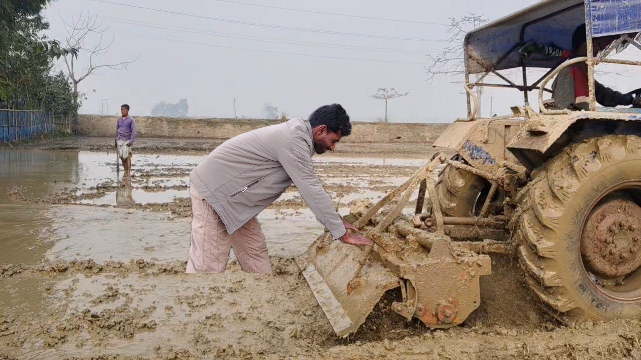 টেক্টর দিয়ে পেক করতেছি 🚜Vloge video amazing vloge video 