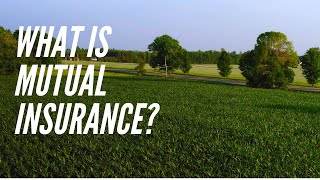 What is Mutual Insurance? | Ontario Mutuals | Auto | Farm | Commercial | Home