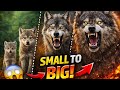 Transformation video of small to big size of  animal wait for in end was crazy 💀☠️
