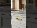 Aris Knob with Backplate – Premium Brass Cabinet Knob for Elegant & Modern Furniture Design.