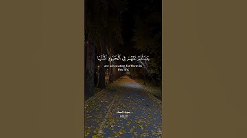 يستخفون من الناس ولا يستخفون من الله وهو معهم ..|  من #سورة_النساء|#احمد_حمادي