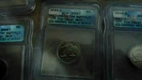 Graded ICG Buffalo Nickels, Ocean view MS67 SP69 First strikes