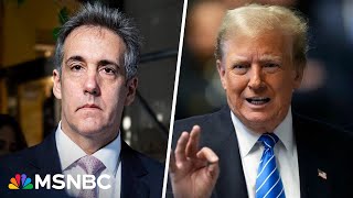 ‘Dangerous territory’: Trump lawyer questions Michael Cohen over prior convictions