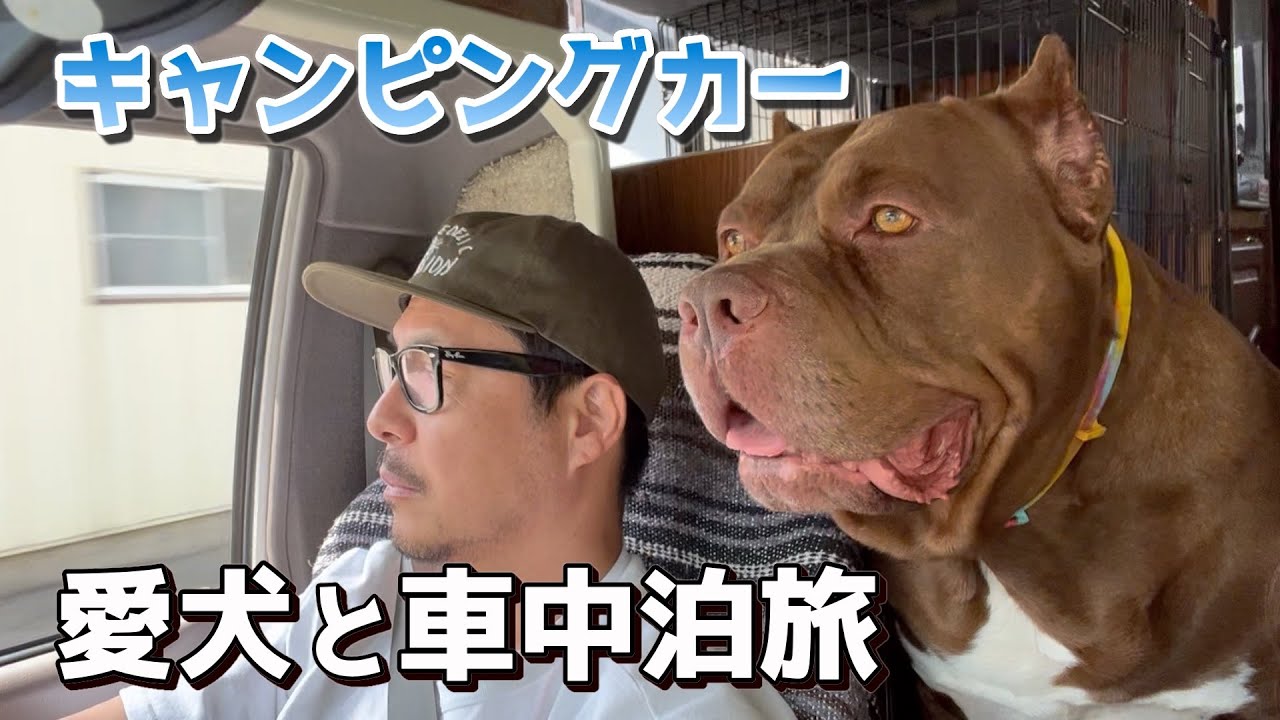 【犬連れ車中泊旅】湖は飲み物だと思っている愛犬と沼沢湖散歩！天然炭酸水を飲みました〜
