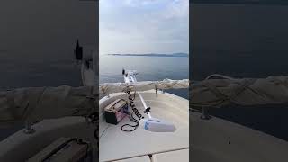 ψάρεμα σήμερα 😎😎😎 #fishing #fish #palms #nature #travel #beach