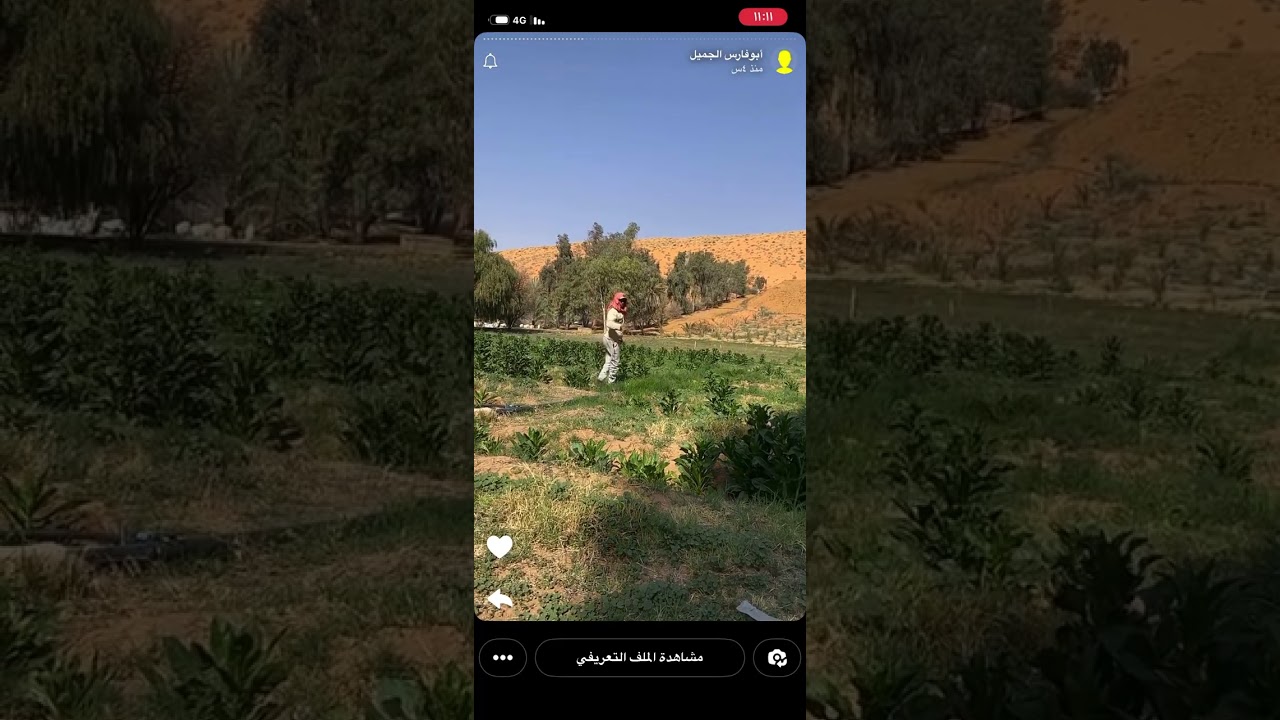 طلبت الطلاق من زوجها لكي لاتنقرض عائلتها