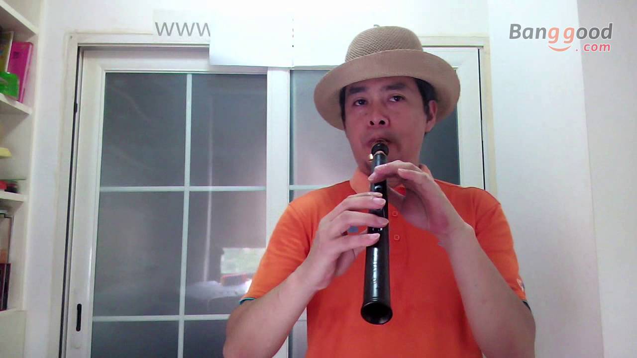 Portable Zebra Mini Saxophone with Alto Mouthpiece