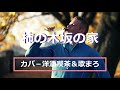 青木光一の「柿の木坂の家」作詞:石本美由起,作曲:船村徹。(歌いだし)春には柿の花が咲き、、、、、、、