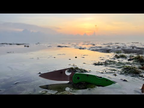 Spyderco Salt 2 (LC200N) - A Comparison the Delica and Other Spyderco Salt Knives, Plus Thoughts