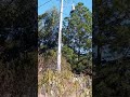 venta de terreno en ahuhetitla hgo por Tulancingo Hidalgo