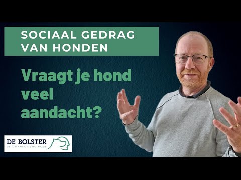 Video: Moet U 'n Hondegedrag Aanstel?