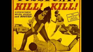 Video thumbnail of "The Bostweeds - Faster Pussycat Kill Kill."