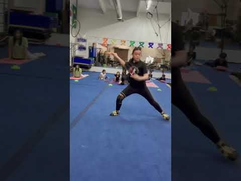 Kung fu fan form
