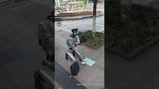 China's begging robot goes viral
