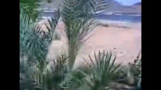 شهيد الأرض النوبية الحاج عبد السيد