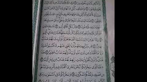 سوره الجاثيه من 1 إلى 8 ياسر الدوسري