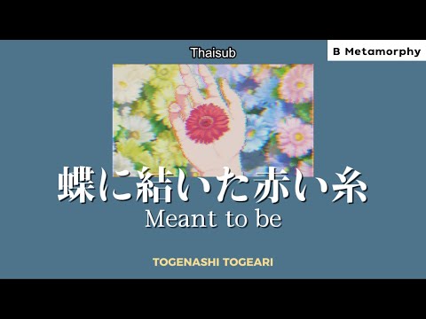 THAISUB แปลไทย 蝶に結いた赤い糸 Meant To Be TOGENASHI TOGEARI Girls Band Cry 