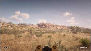 Red Dead 2 (Single player) did Rockstar break the render distance *Update* 1.21