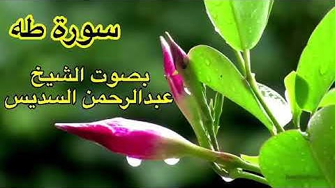 سورة طه كاملة بدون اعلانات بصوت الشيخ عبدالرحمن السديس
