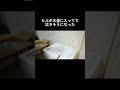 ヒルが大量に入ってて泣きそうになった #shorts
