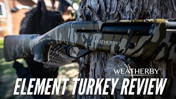 Cover Image for Weatherby Element Turkey Shotgun Review (Semi-Auto)