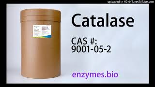 Catalase Enzymes Manufacturers CAS 9001-05-2 by Enzymes Wholesale 22 views 3 years ago 55 seconds