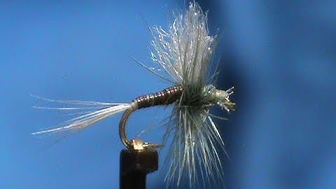 Fly Tying a Moose Mane Blue Quill with Jim Misiura