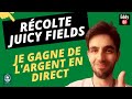 Rcolte juicy fields  je gagne de largent en direct