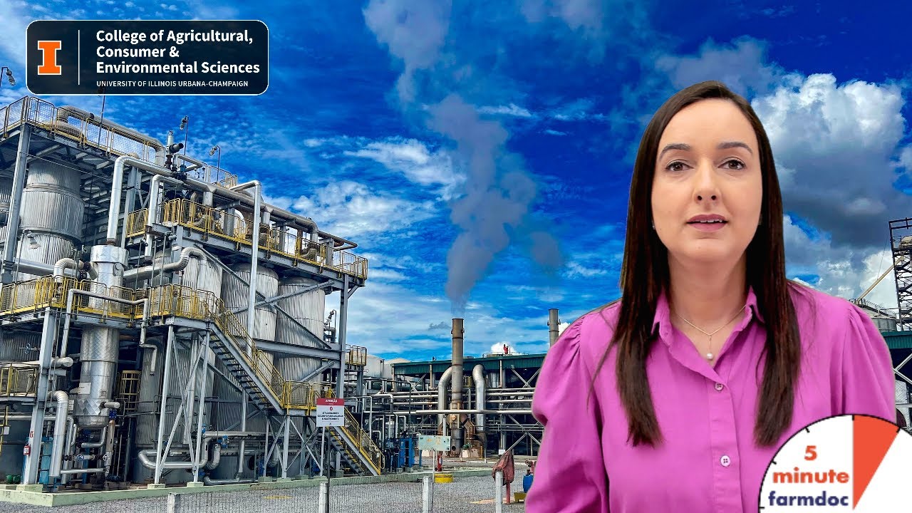 Second-Crop Corn Fuels Brazil's Ethanol Boom